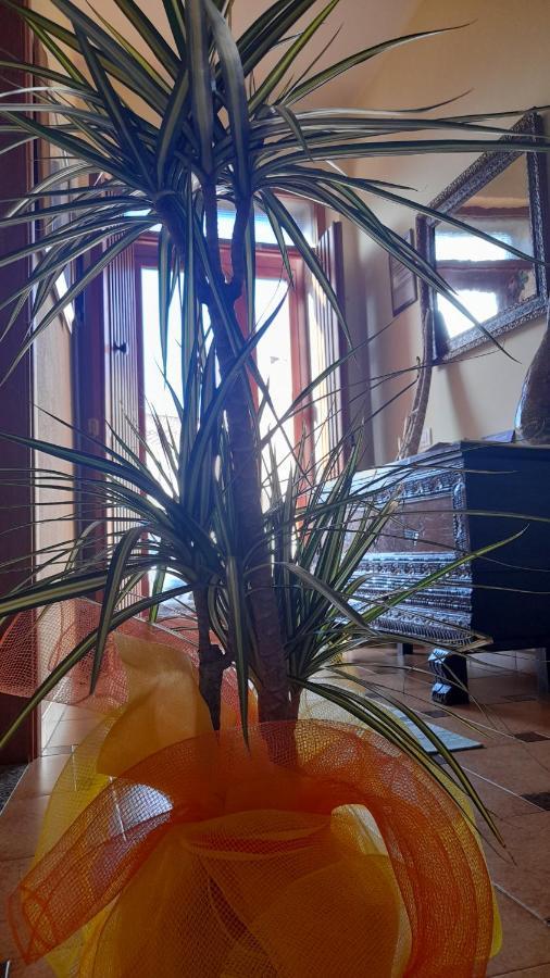 Su Fassoi Cabras Bed & Breakfast Bagian luar foto