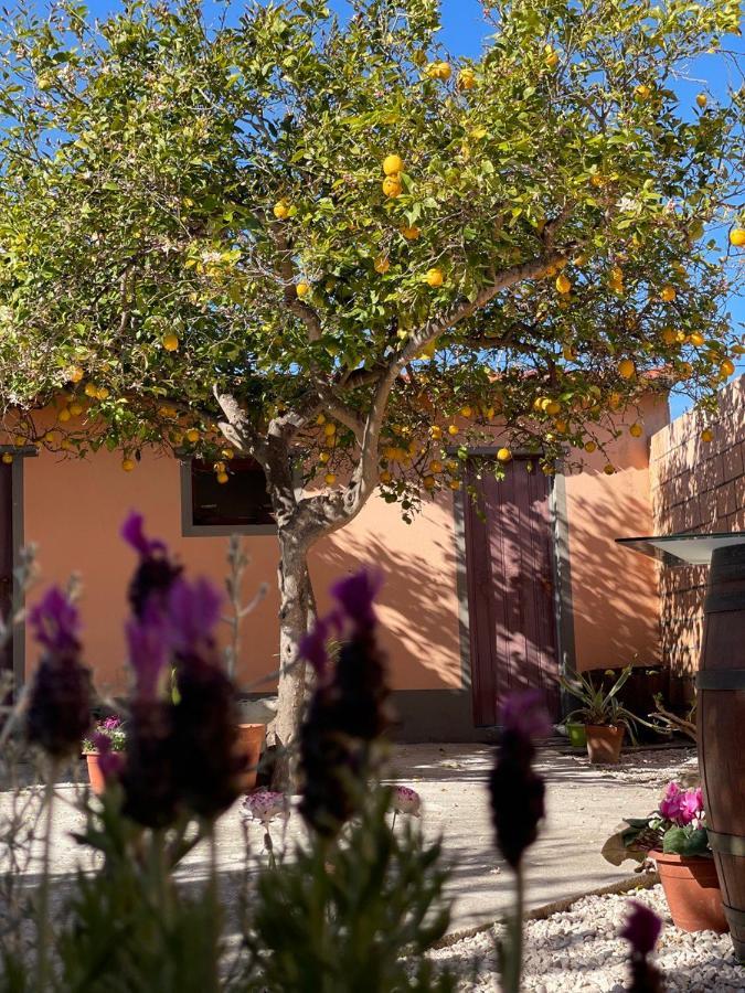 Su Fassoi Cabras Bed & Breakfast Bagian luar foto
