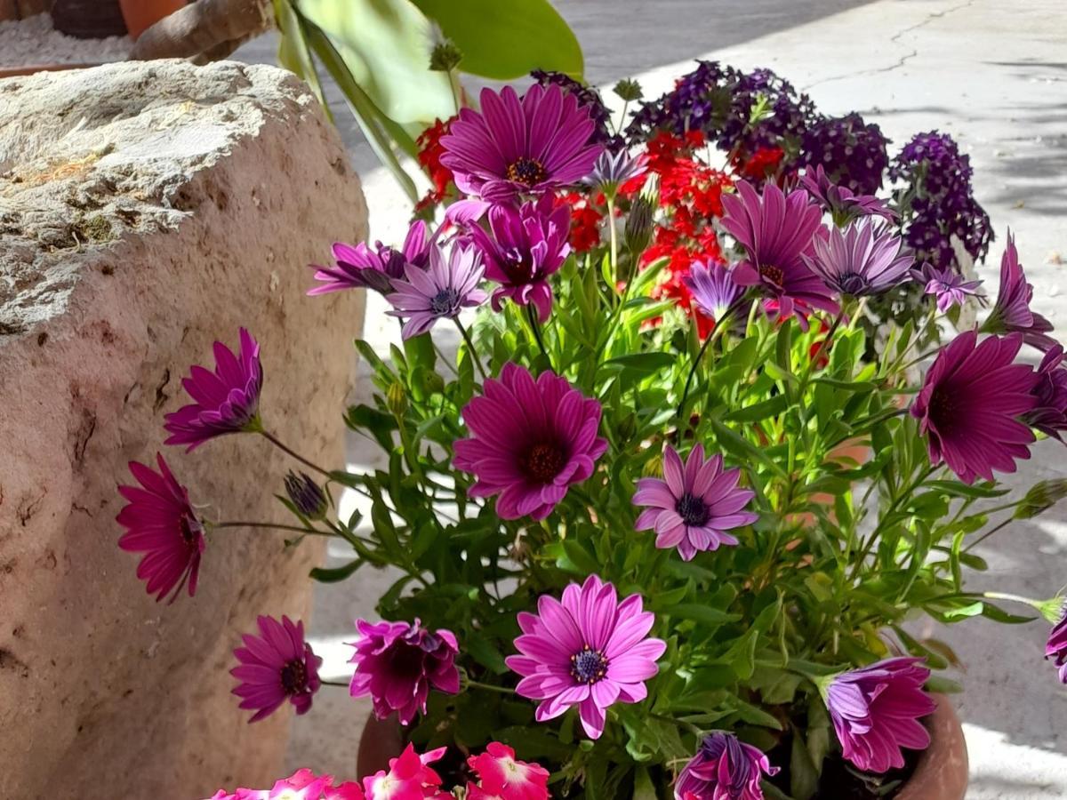 Su Fassoi Cabras Bed & Breakfast Bagian luar foto