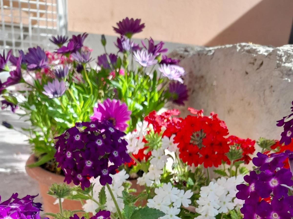 Su Fassoi Cabras Bed & Breakfast Bagian luar foto