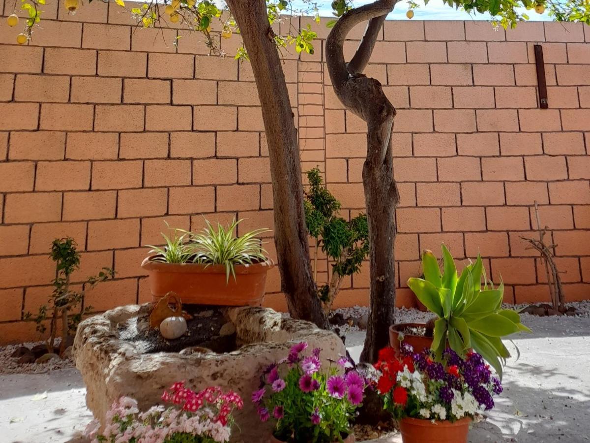 Su Fassoi Cabras Bed & Breakfast Bagian luar foto