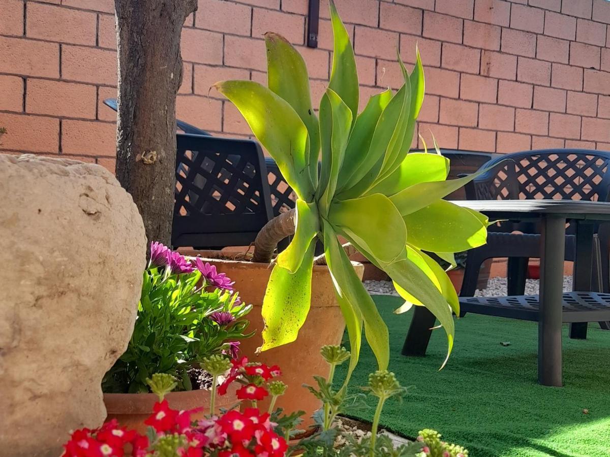 Su Fassoi Cabras Bed & Breakfast Bagian luar foto